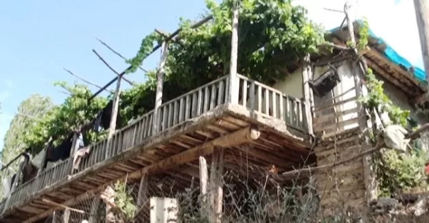 Bu mahallede beton ev yasak