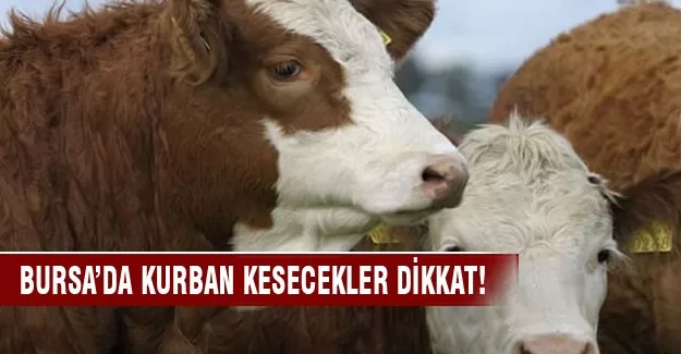 Bursa'da kurban satış ve kesim yerleri belirlendi