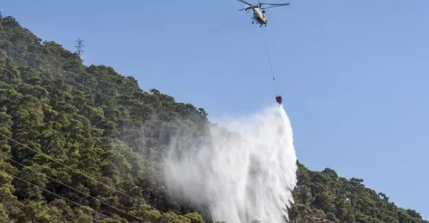 Orman yangını kontrol altına alındı