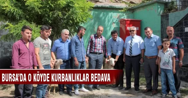 Bursa'da köylülere kurbanlık bedava