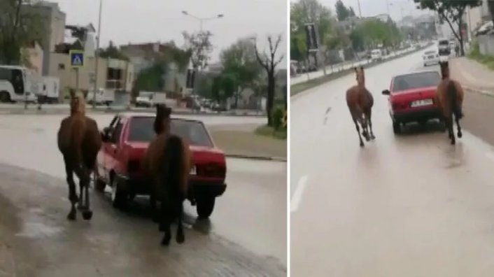 Bursa'da insanlık dışı görüntüler!