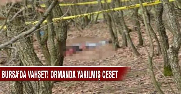 Bursa'da vahşet! Ormanda yakılmış ceset