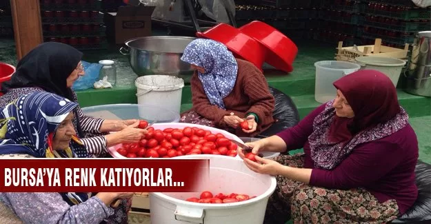Bursa'ya renk katıyorlar