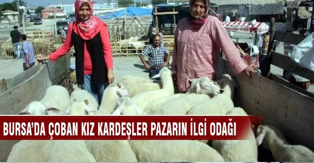 Bursa'da çoban kız kardeşler  pazarın ilgi odağı