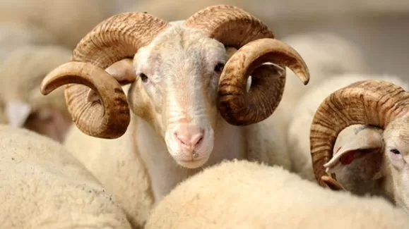 Bakanlık'tan kesin uyarı!