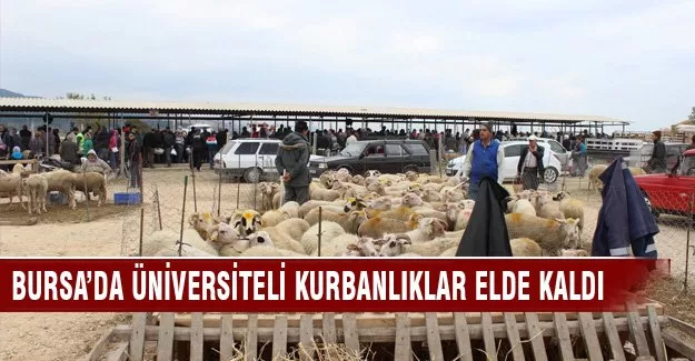 Bursa'da kurbanlıklar elde kaldı