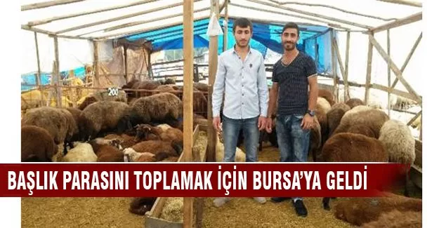 Bütün çabası aşkına kavuşmak için