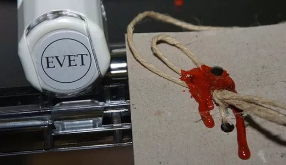 HDP'li Bilgen'den sandık tepkisi