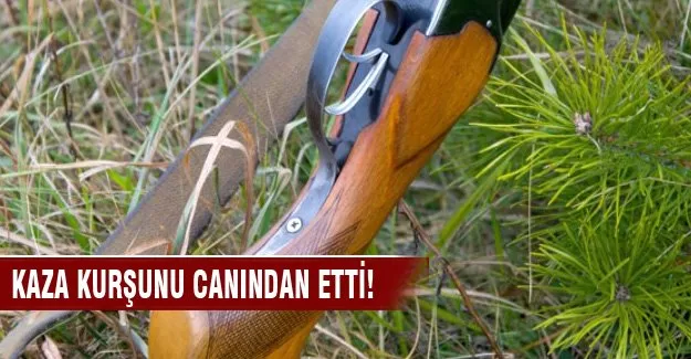 Meyve düşürmek isterken canından oldu!