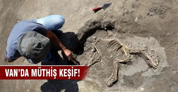 3 bin yıllık köpek iskeleti bulundu