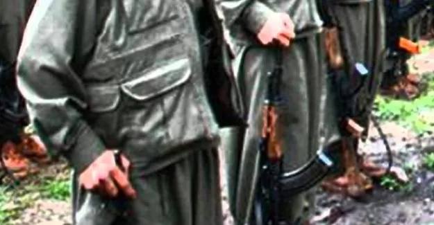 Teslim olan teröristten şok sözler