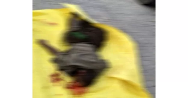 1 terörist daha öldürüldü