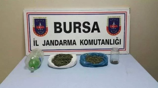 Bursa zehirden temizleniyor
