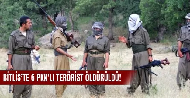 Bitlis'te 6 PKK'lı terörist öldürüldü
