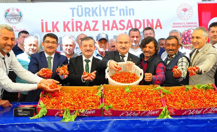 Sezonun ilk kirazı 700 liraya satıldı