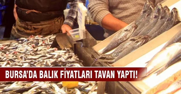 Bursa'da balık fiyatları cep yakıyor!