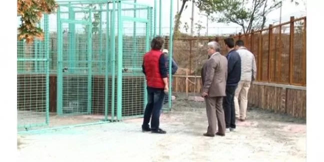 Bursa Karacabey'e modern barınak