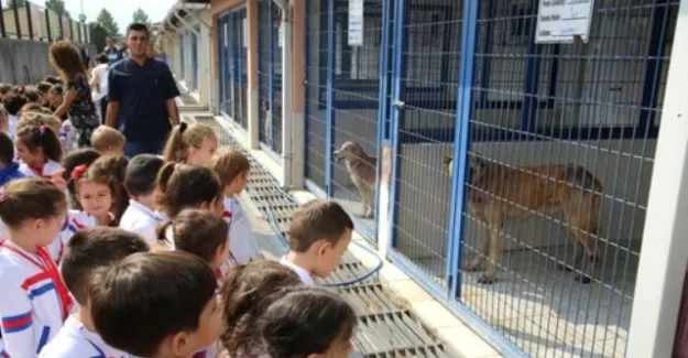 Nilüferli minikler, can dostlarıyla buluştu