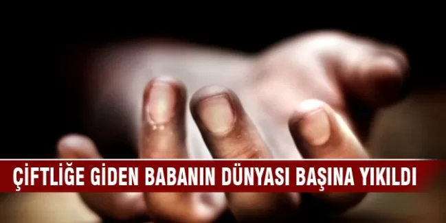 Çiftliğe giden babanın dünyası başına yıkıldı