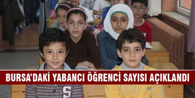 Bursa'daki yabancı öğrenci sayısı açıklandı