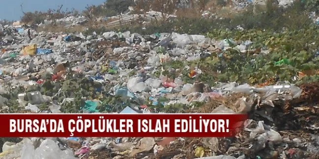 Bursa'da çöp dağları yeşillenecek