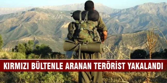 Kırmızı bültenle aranan terörist yakalandı