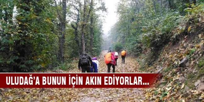 Uludağ'a bunun için akın ediyorlar