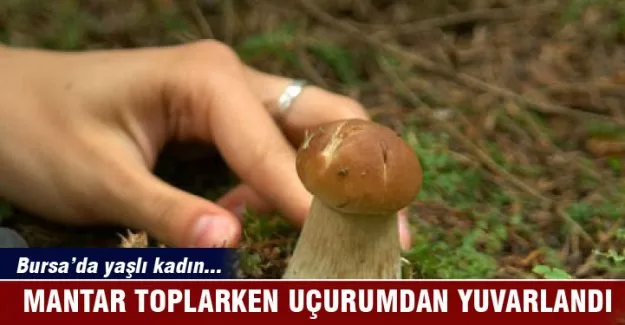 Mantar toplarken uçuruma yuvarlandı