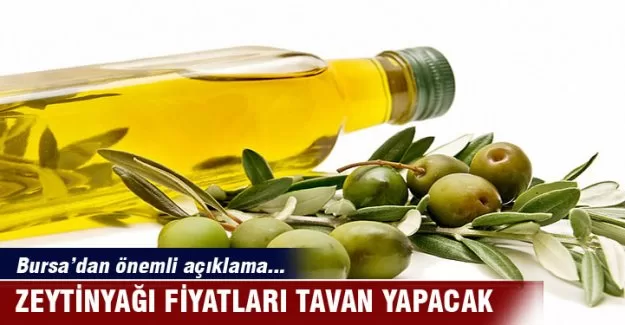 Zeytinyağı fiyatları tavan yaptı