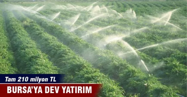 Orman Bakanlığı'ndan Bursa'ya dev yatırım