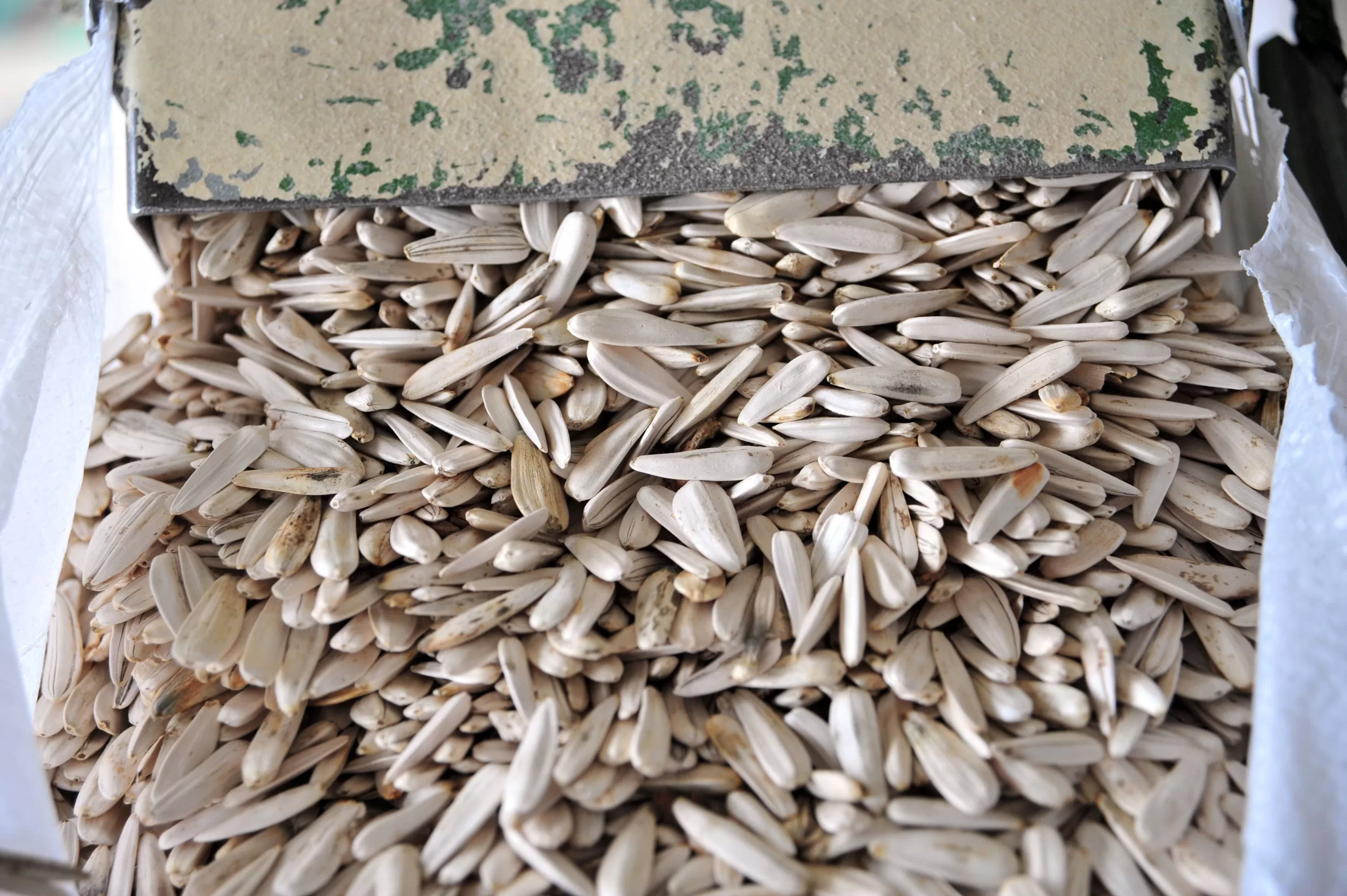 İnegöl köftesinin tahtı sallantıda