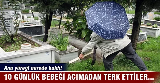 Acımadan kaderine terk ettiler!