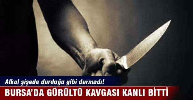 Bursa'da gürültü kavgası kanlı bitti