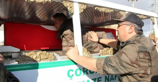 "Peygamberin kucakladığı bir aslan o"