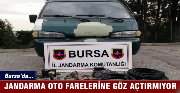Bursa'da oto fareleri yakalandı