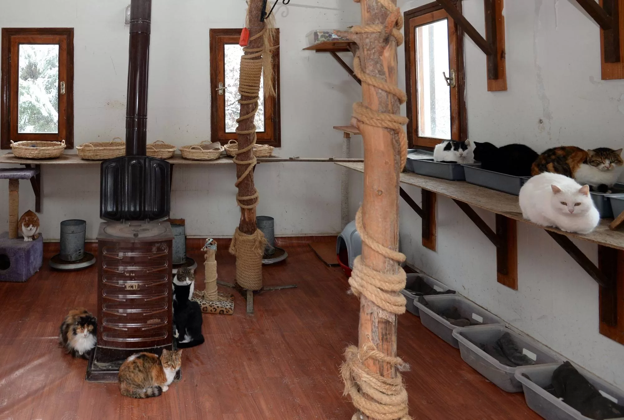 Bursa'da can dostlarının sağlığı güvende