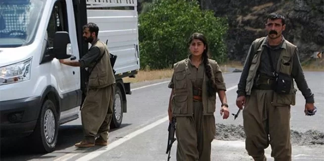 PKK'nın 'Dersim' sorumlusu öldürüldü