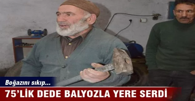 75'lik dede balyozlu saldırganı yere serdi