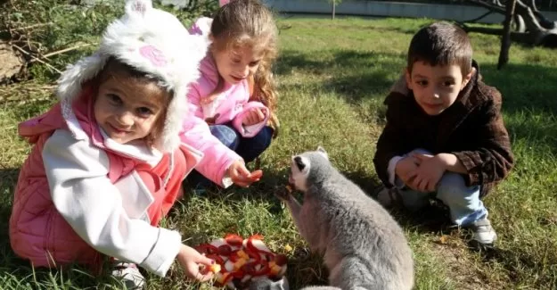 Bursa'da nesilleri tükenmesin diye...