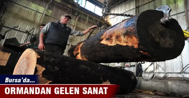 Bursa'da ormandan  gelen sanat