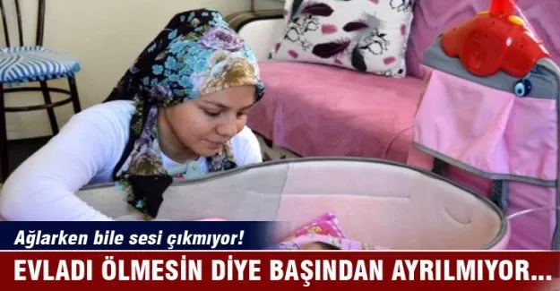 Evladı ölmesin diye başından ayrılmıyor...