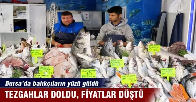 Bursa'da balıkçıların yüzü güldü