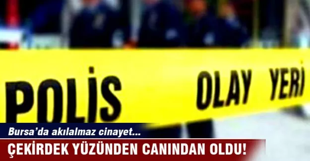 Bursa'da çekirdek yüzünden öldürüldü!