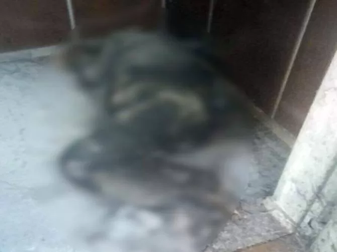 Otoparkta inanılmaz olay!