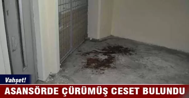 Kullanılmayan asansörde çürümüş ceset bulundu