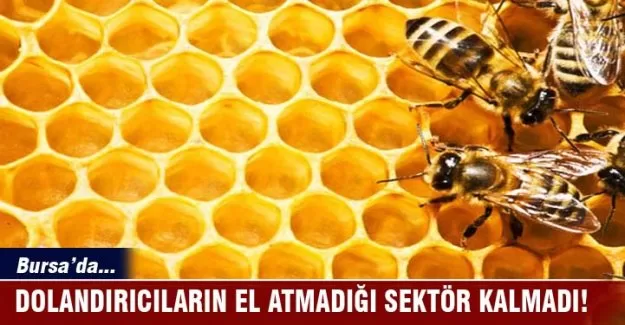 Bursa'da dolandırıcıların el atmadığı sektör kalmadı