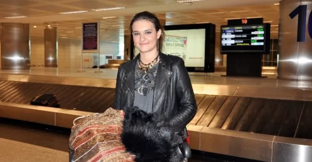 Fransa’dan dönen Türkler dehşet anlarını anlattı