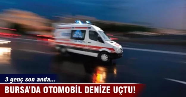 Bursa'da otomobil denize düştü!