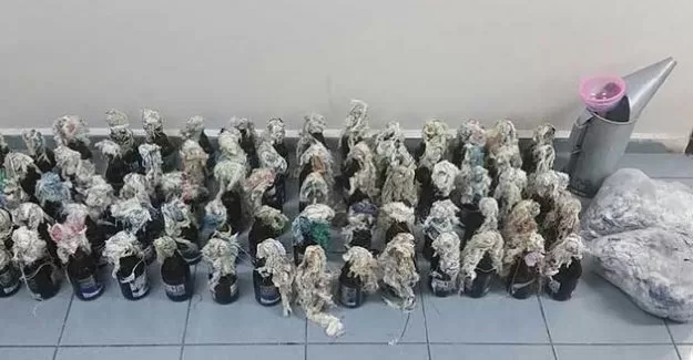 İstanbul'daki PKK operasyonu