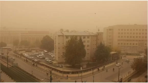 Tüm şehir sarıya boyandı